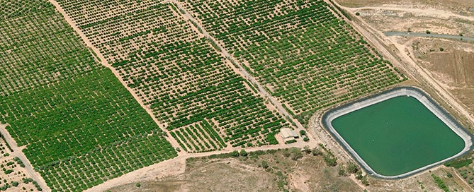 Proyecto explotación agricola Alicante